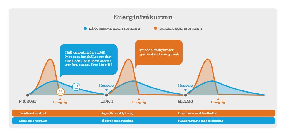 Illustration över energinivåkurvan under en hel dag