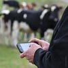 LDP_Mobiltelefon_fotoMariaNyberg_12maj2020.jpg