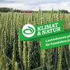 Klimat_amp_Natur_koncept.png