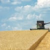 Fendt_troska_o_traktor_1_30cm.jpg
