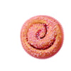 Frilagd_rosa_bulle_uppifran.jpg