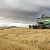 b_FENDT5275_1350.jpg