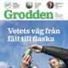 Grodden nr 1 2020