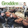 Grodden nr 2 2018