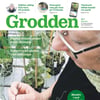 Grodden nr 3 2021