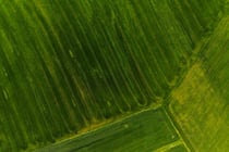Secondary Image
