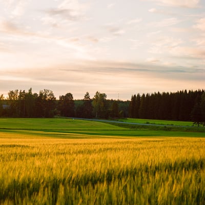 Fält Finland