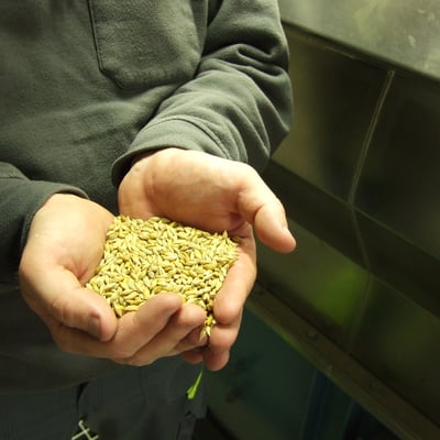 Händer med ThermoSeedbetat utsäde