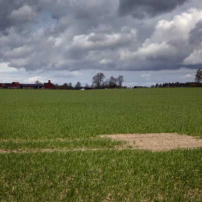 Lärkruta