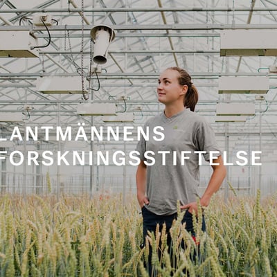 Lantmännens forskningsstiftelse