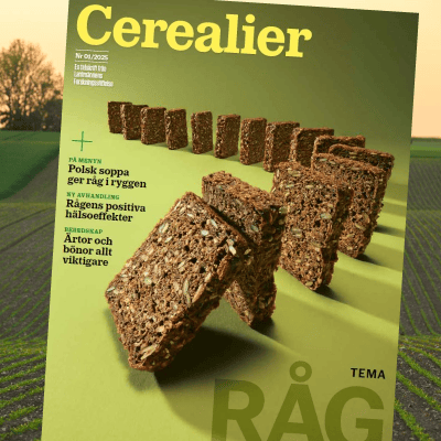 Cerealier nr1 2025 