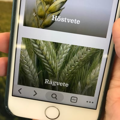 En mobiltelefon med interaktiva odla