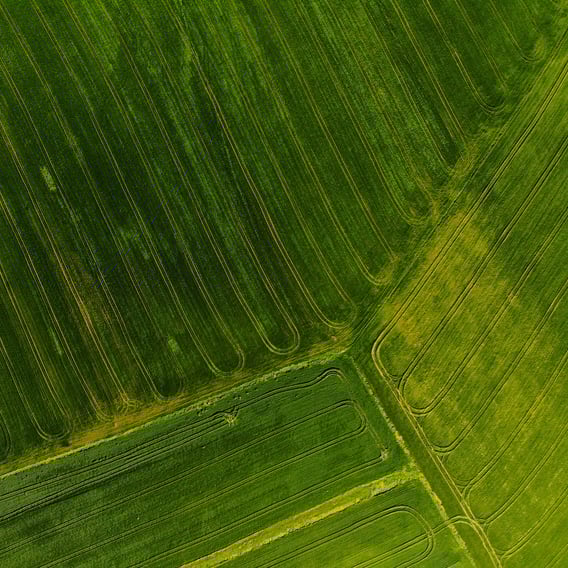 Grön åker sedd från ovan