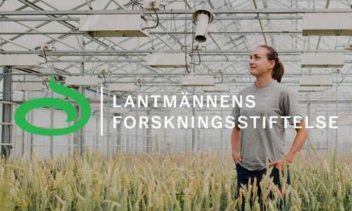 Lantmännens forskningsstiftelse