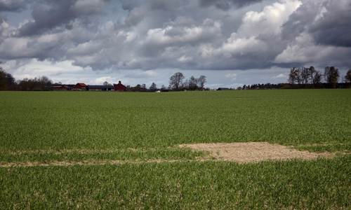 Lärkruta
