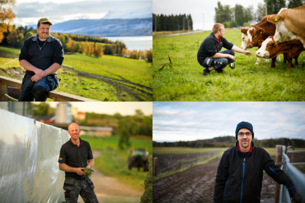 Collage_Våra ägare_600.jpg