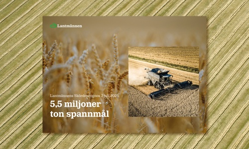 Lantmännens Skördeprognos Juli 2025