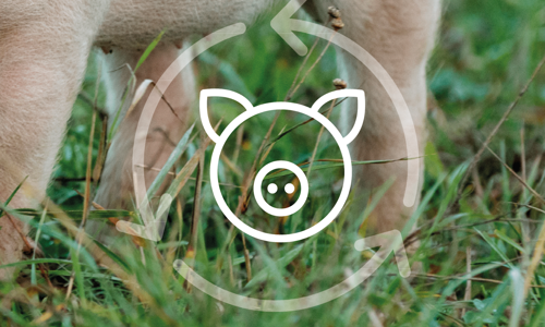 Blogg jan 25 header 2.png
