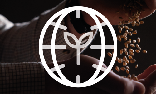 blogg-nov 24 header high res.png