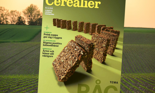 Cerealier nr1 2025 