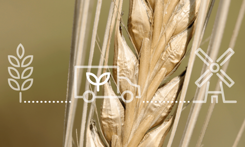 blogg header april 25.png