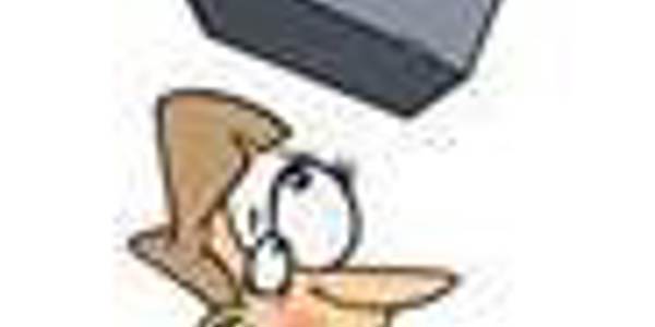 blog-item-image